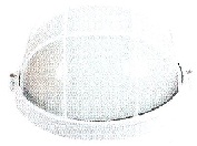 BOLL ICE 100W WHITE BULAT