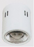 DL-E02001 WH E27
